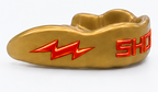 Flash Edition