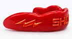 Flash Edition