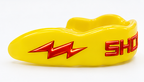 Flash Edition