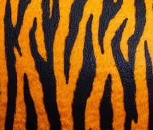 cool mouthguard designs